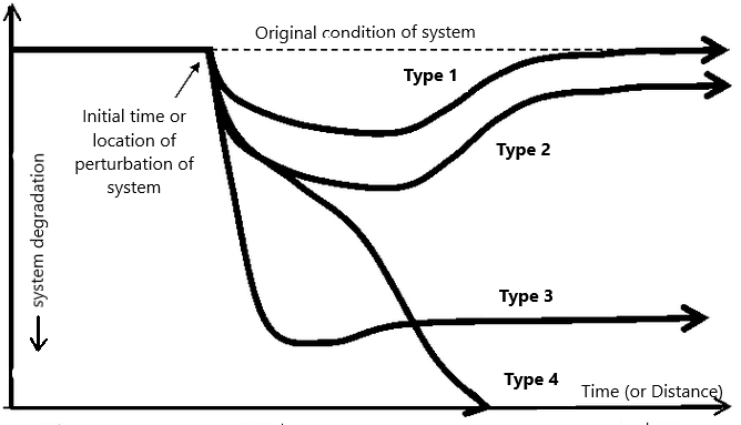 Pathways of recovery or degradation a system may take after initial perturbation.
